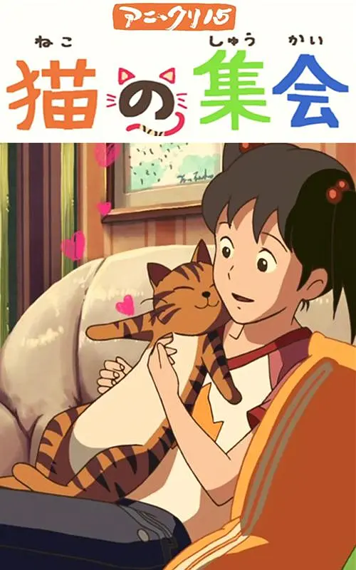 日韩夜夜操